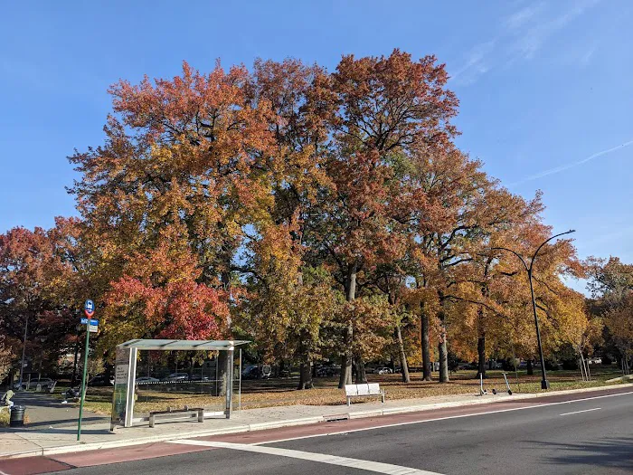 Mosholu-Pelham Greenway Picture 10