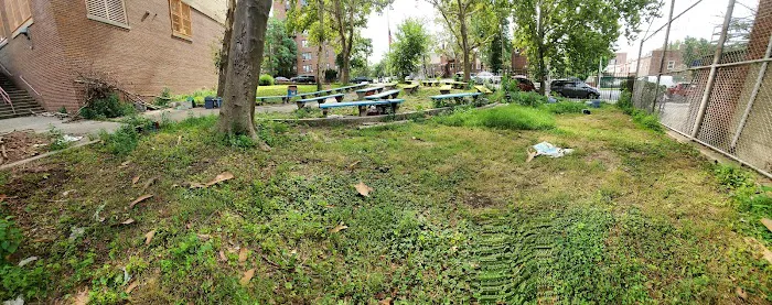 Pelham Academy Garden Picture 2