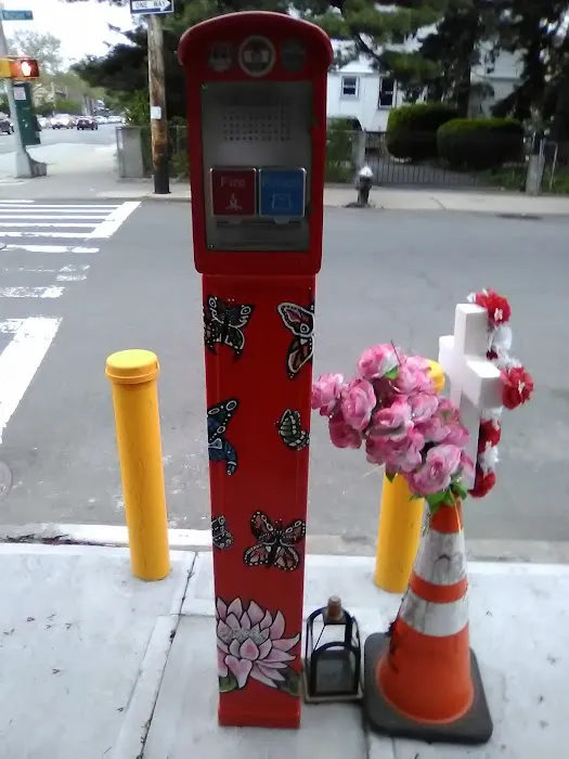Yadira Arroyo Memorial Callbox Picture 1