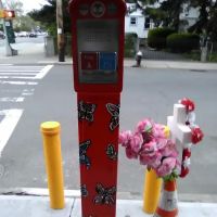 Yadira Arroyo Memorial Callbox ico