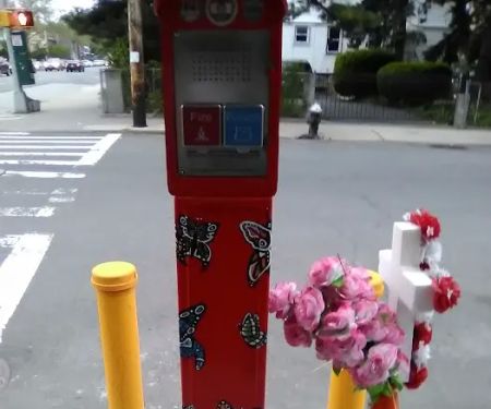 Yadira Arroyo Memorial Callbox