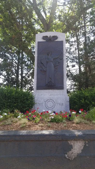 Woodrow Wilson Triangle Picture 1