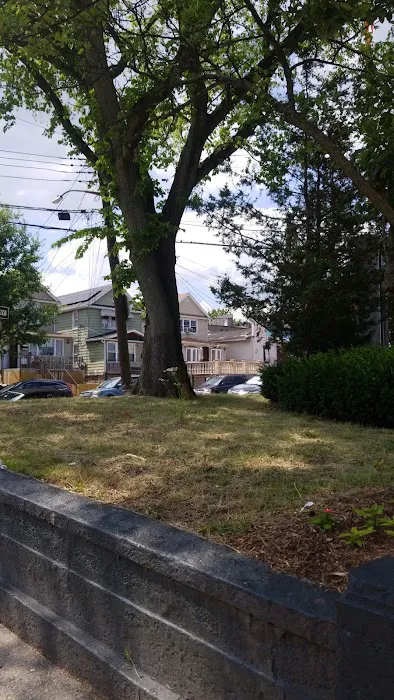 Woodrow Wilson Triangle Picture 4