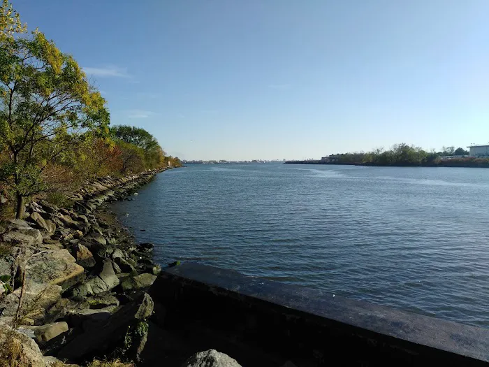 The Bronx Picture 5