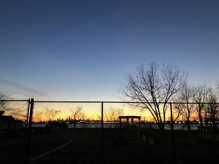 The Bronx Picture 6