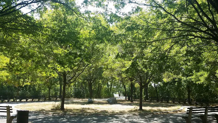 The Bronx Picture 10