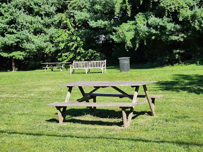 Wolfs Lane Park Picture 4