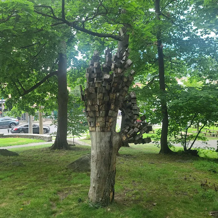Wolfs Lane Park Picture 10