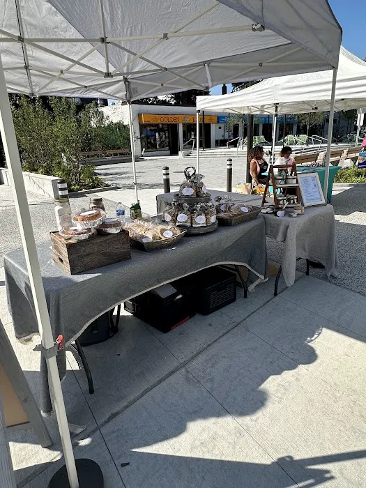 Anderson Plaza Picture 4