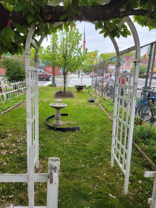 Randall Community Garden Picture 5