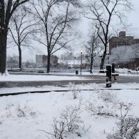 Virginia Park ico
