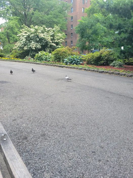 Bronx Unionport Parkchester Park Picture 1