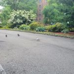 Bronx Unionport Parkchester Park