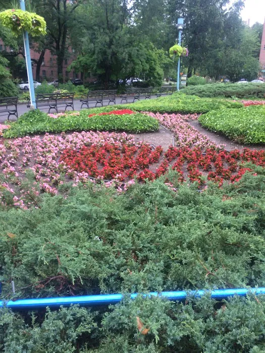Oval park Picture 5