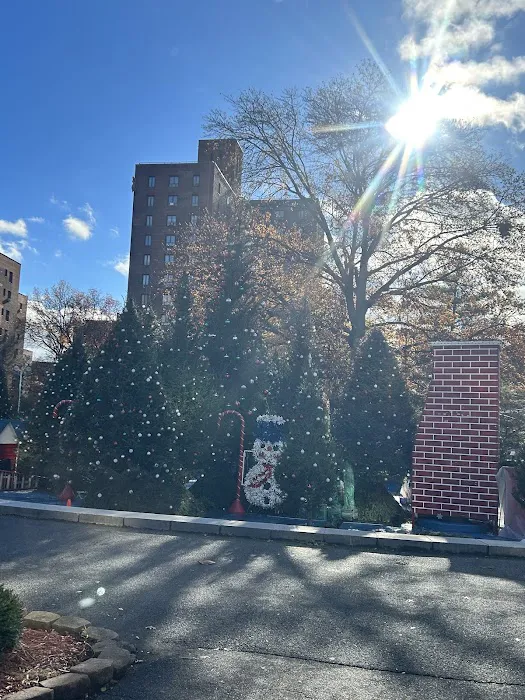 Oval park Picture 2