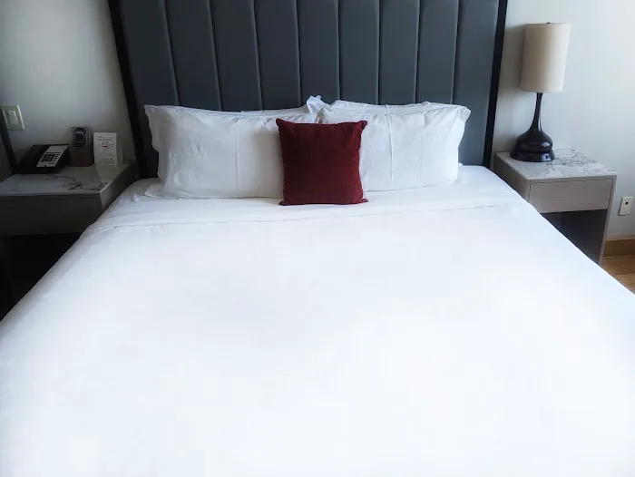 Asiatic Hotel New York Picture 6