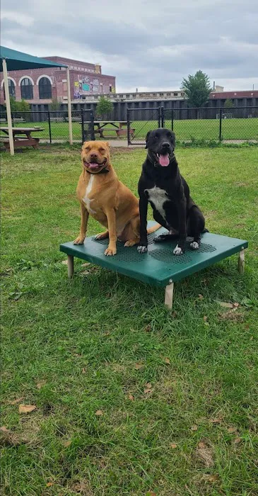 Tail Waggers Task Force Picture 1