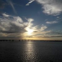Rockaway Freeway Dog Run ico