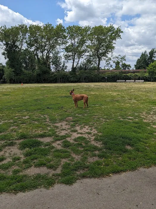 Rockaway Freeway Dog Run Picture 4