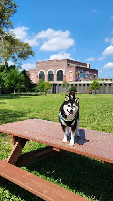 Rockaway Freeway Dog Run Picture 3