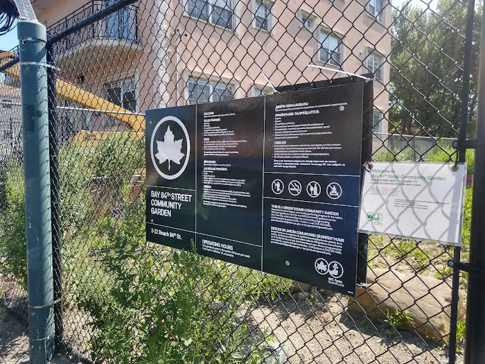 Bay 84th Street Community Garden Picture 7