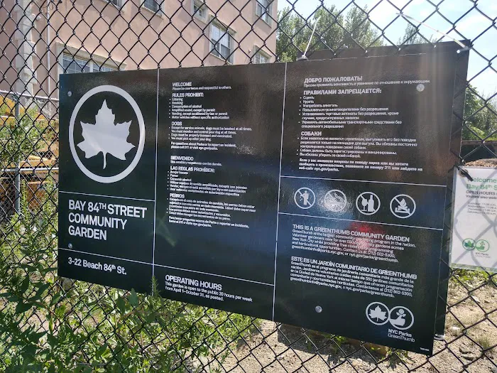 Bay 84th Street Community Garden Picture 5