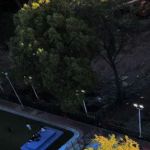 Basketball Courts