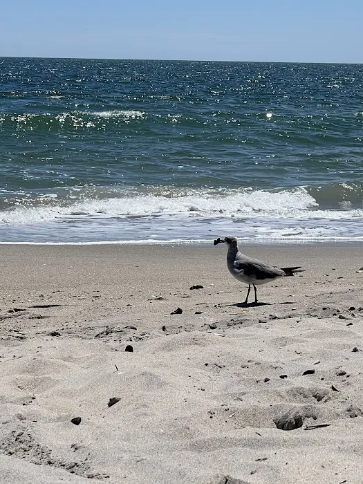 Jetties Picture 2