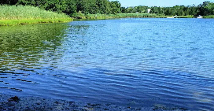 Soak Hides Preserve Picture 4