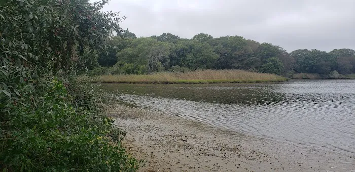 Soak Hides Preserve Picture 1