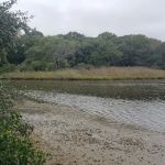 Soak Hides Preserve