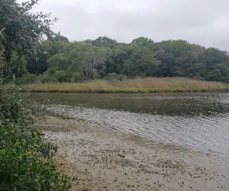 Soak Hides Preserve