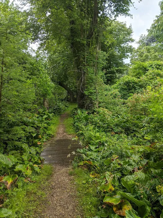 East Hampton Village Nature Trail and Wildlife Sanctuary Picture 2