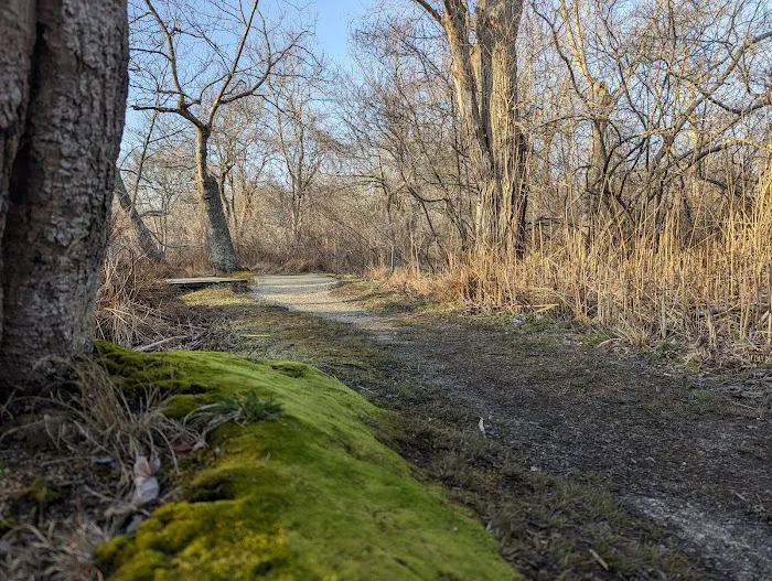 East Hampton Duck Pond Picture 9