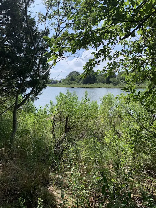 Ruth Oliva Preserve at Dam Pond Picture 7
