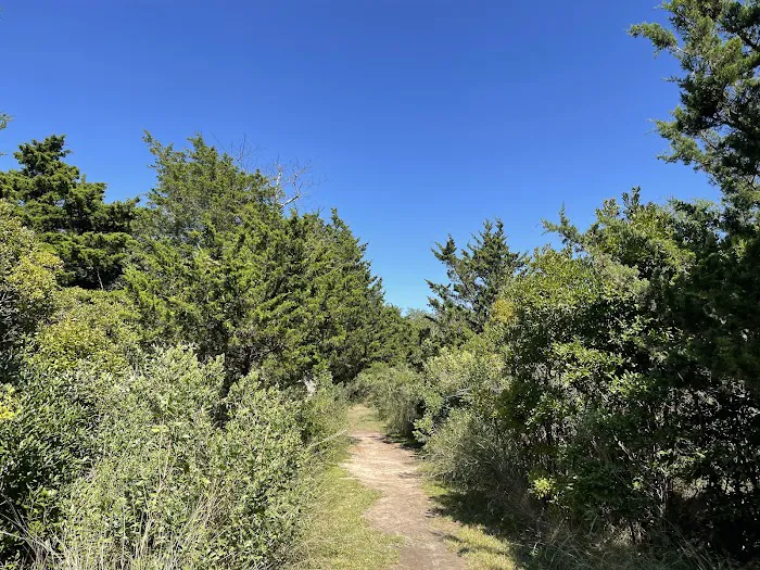 Ruth Oliva Preserve at Dam Pond Picture 1