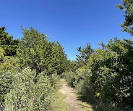 Ruth Oliva Preserve at Dam Pond