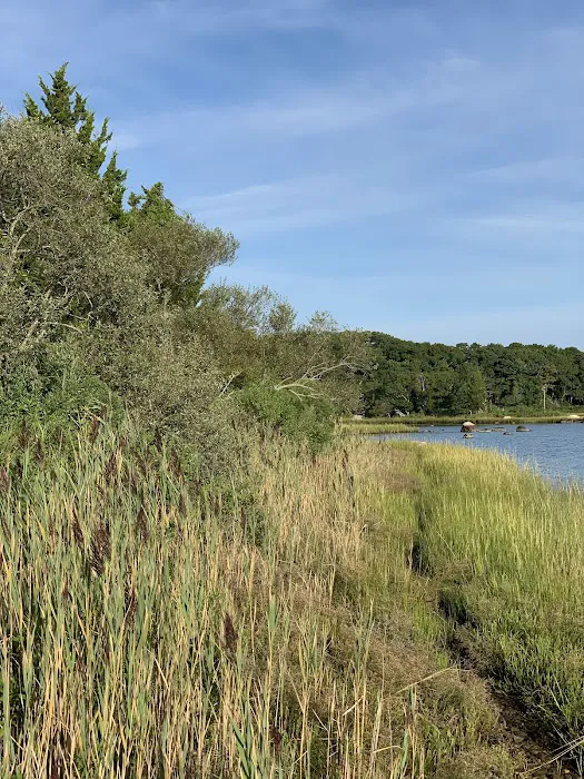 Ruth Oliva Preserve at Dam Pond Picture 9