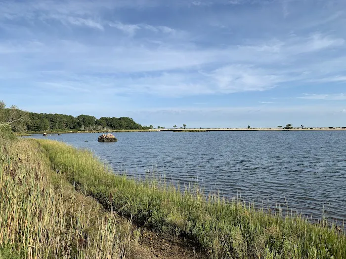 Ruth Oliva Preserve at Dam Pond Picture 4