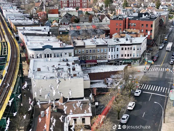 Jacob Riis Triangle Picture 6
