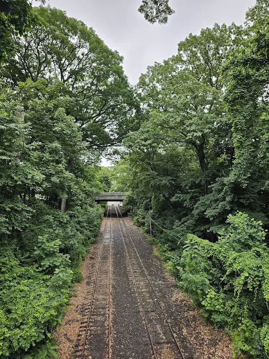 Water Hole Trail Head Picture 6