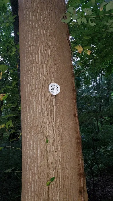 Water Hole Trail Head Picture 8