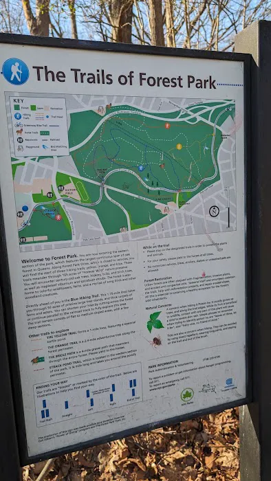 Forest Park forest trails Picture 3