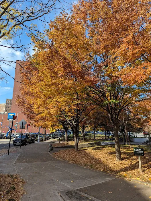 MacDonald Park Picture 5