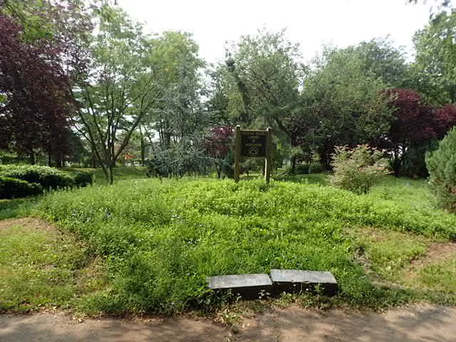 Garden of Meditation Picture 10