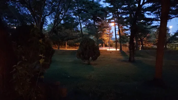 Garden of Meditation Picture 7