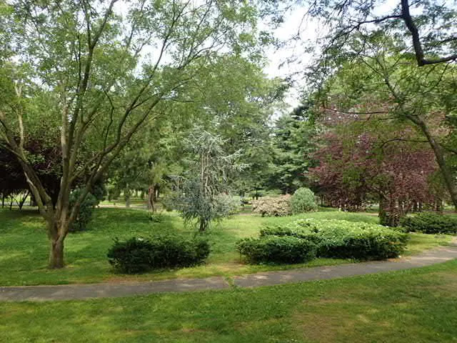 Garden of Meditation Picture 5