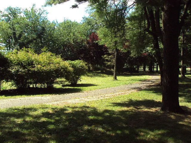 Garden of Meditation Picture 3