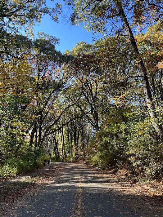 Forest Park Hiking Trails Picture 8