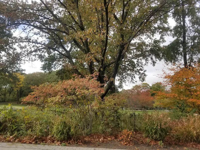 Forest Park Hiking Trails Picture 9